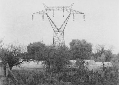 Paysages habités – Tetes de chat